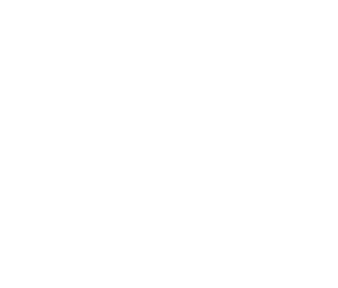 Wide Web